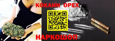 скорость Кингисепп