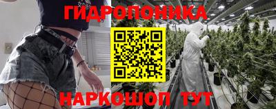 скорость Кингисепп