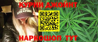 скорость Кингисепп
